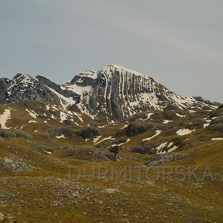 Durmitorska Zora Villa Zabljak  Luaran gambar