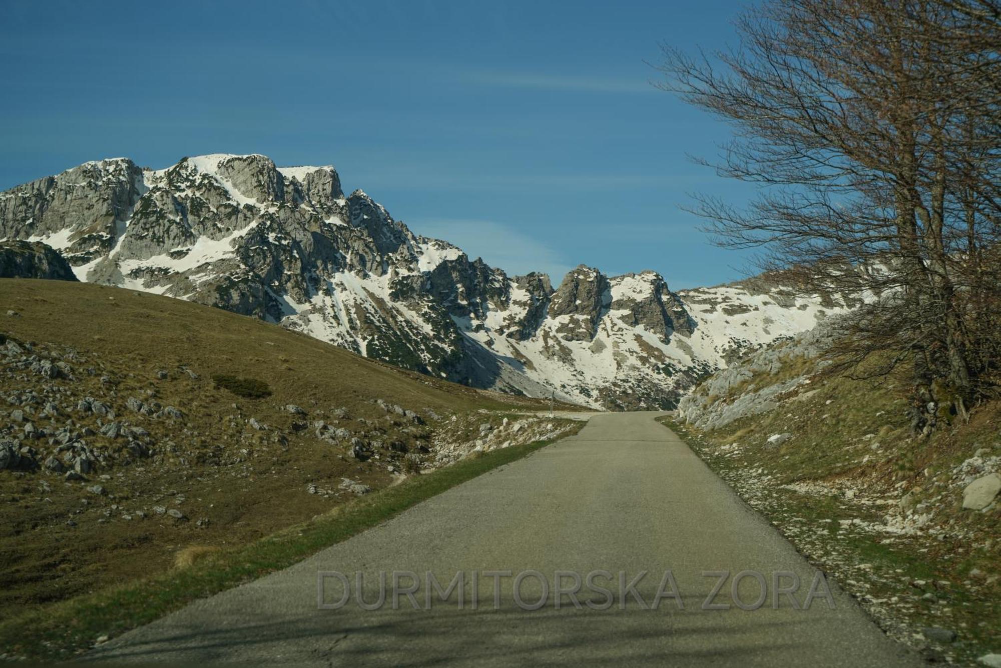 Durmitorska Zora Villa Zabljak  Luaran gambar